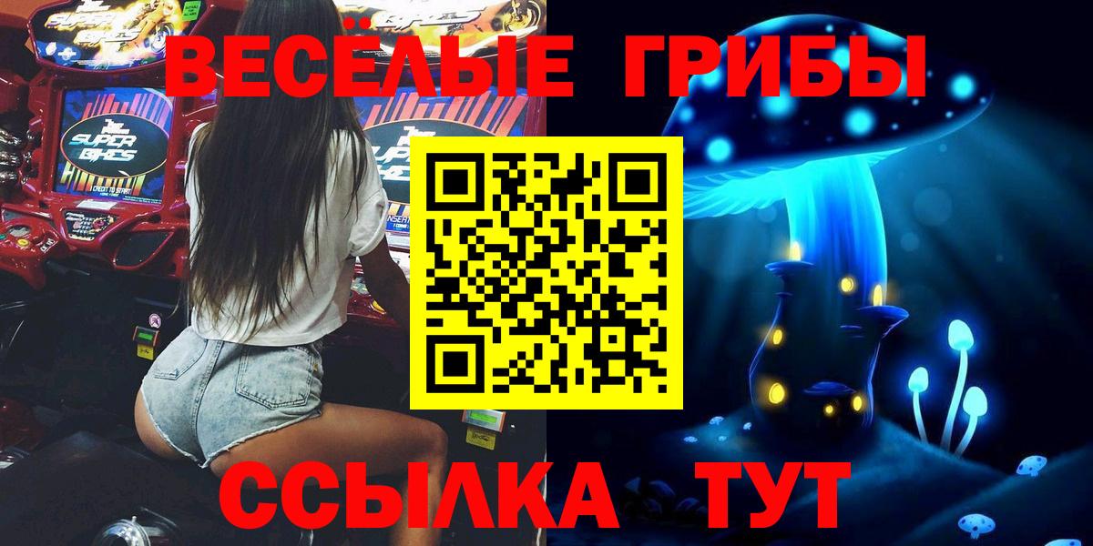 Галлюциногенные грибы ЛСД  Псилоцибиновые грибы MAGIC MUSHROOMS  где купить наркоту  Вход с VPN  Курган 